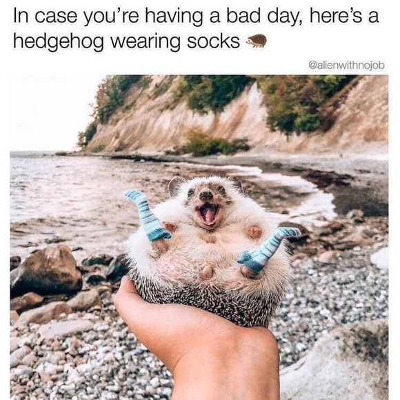 Meet your fellow Posher - Picture 3 of 4